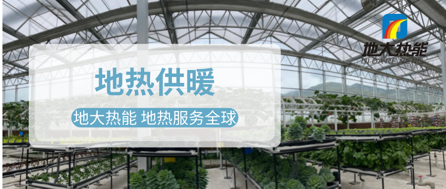 發(fā)揮地?zé)豳Y源優(yōu)勢(shì)，地?zé)徂r(nóng)業(yè)實(shí)現(xiàn)花卉產(chǎn)業(yè)特色發(fā)展 | 地大熱能 地?zé)岱?wù)全球